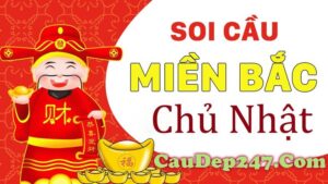 Soi cấu miền bắc 247 